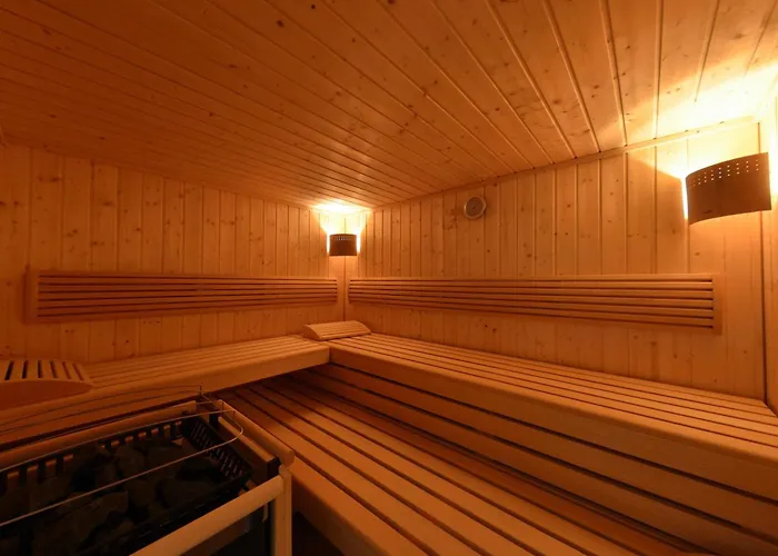 酒店 费希特酒店 3*